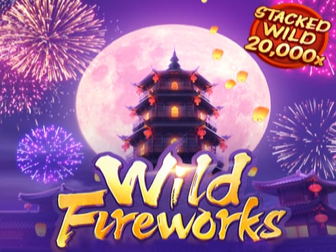 Wild Fireworks screenshot